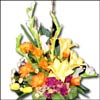 To Some one Special (ODD7) - Click here to View more details about this Product